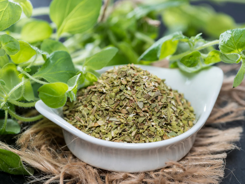 Oregano: The Fragrant Herb with Surprising Health Benefits