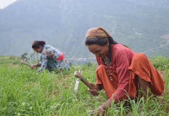- Against the Odds: Women Breaking Barriers in Uttarakhand's Agriculture.