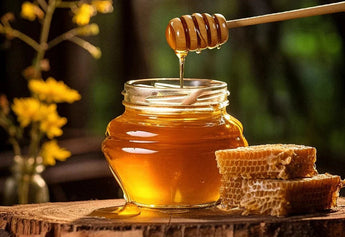 The Benefits of Choosing Forest Honey Over Regular Honey