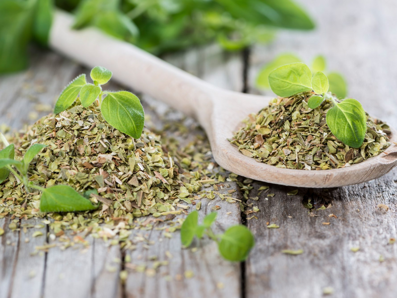 Growing Your Own Oregano: Fresh Herbs at Your Fingertips
