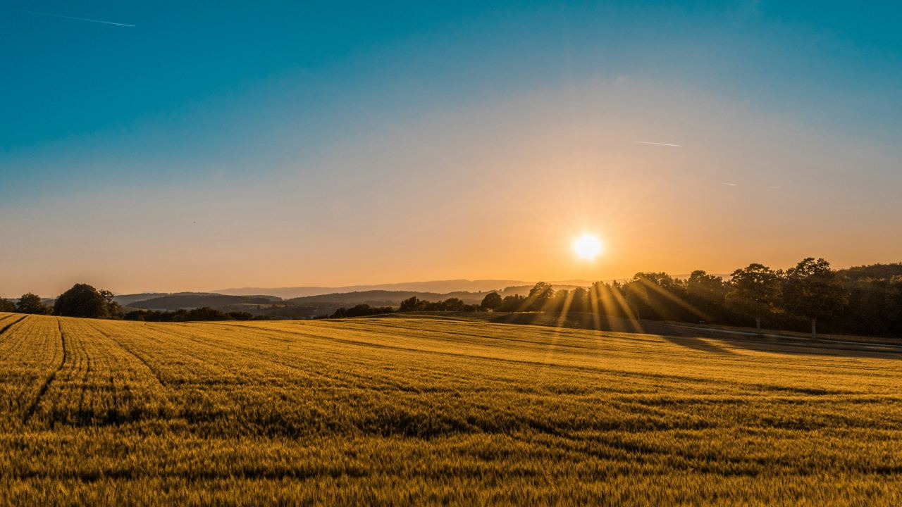 From Farm to Fork: The Journey of Nirvana Organic Products
