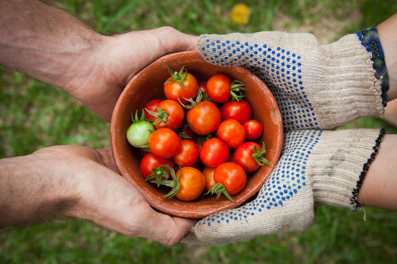 Organic vs. Conventional Food: Label Decoded for Savvy Shoppers