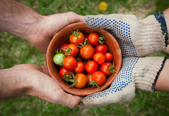 Organic vs. Conventional Food: Label Decoded for Savvy Shoppers