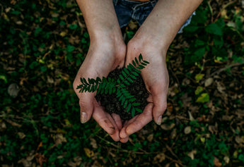 Cultivating a Greener Future: Sustainable Practices at Nirvana Organic