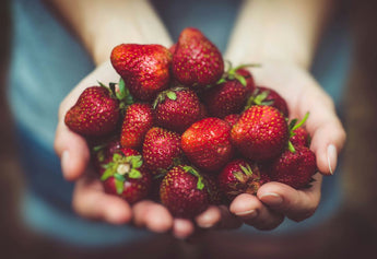 Organic vs. Locally Sourced Food: Making Informed Choices
