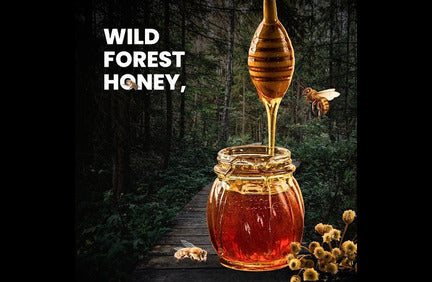 From Hive to Jar: The Pure, Organic Journey of Nirvana’s Forest Honey