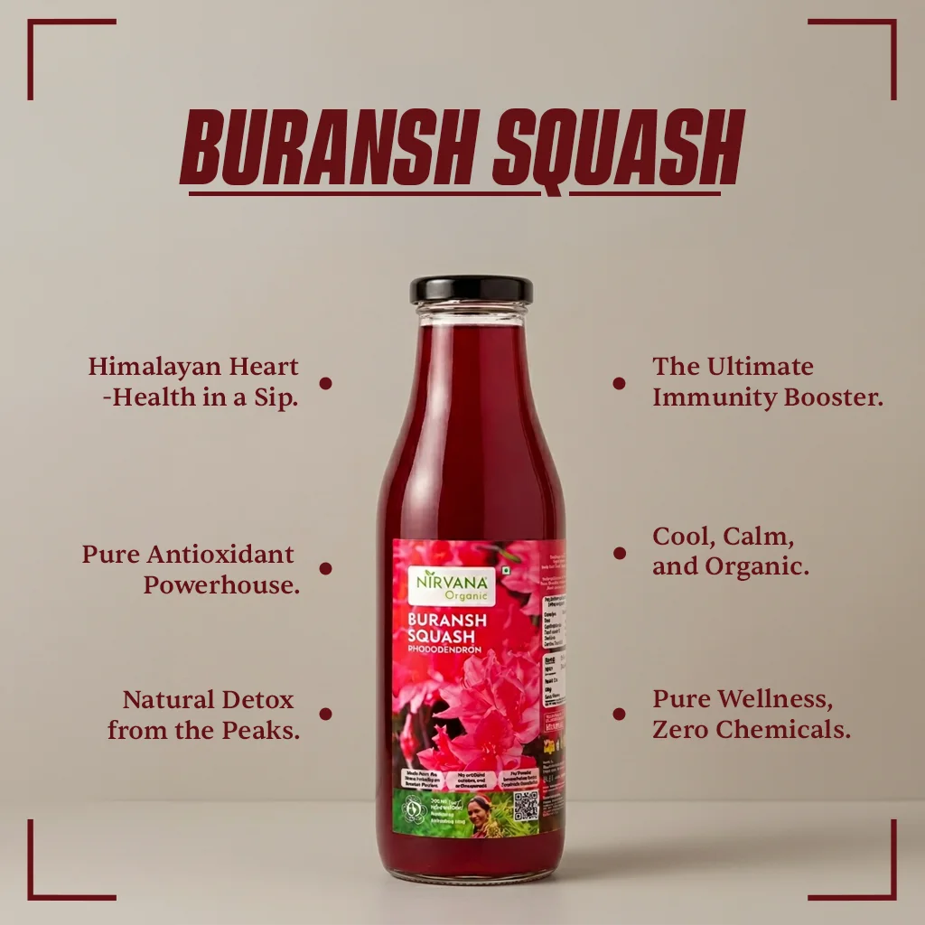 Buransh_Squash_4