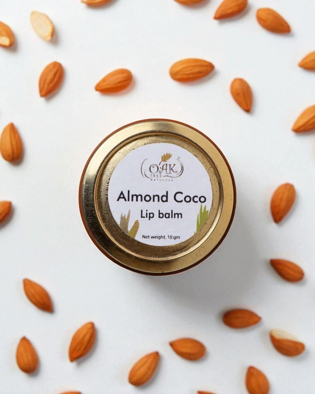 Natural Almond Coconut Lip Balm | Moisturizing Lip Care for Dry Chapped Lips (10g)