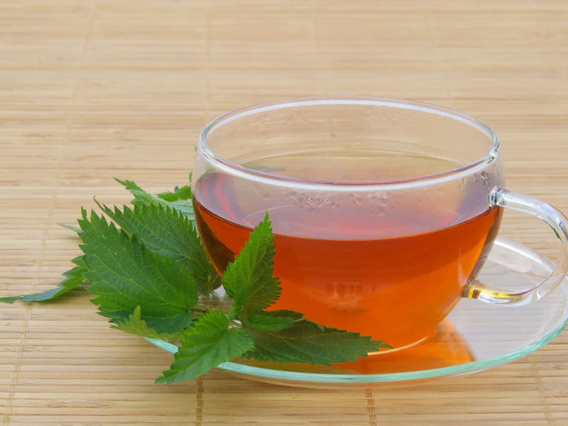 Nettle Tea Benefits for Skin: What Happens If You Drink It Daily?