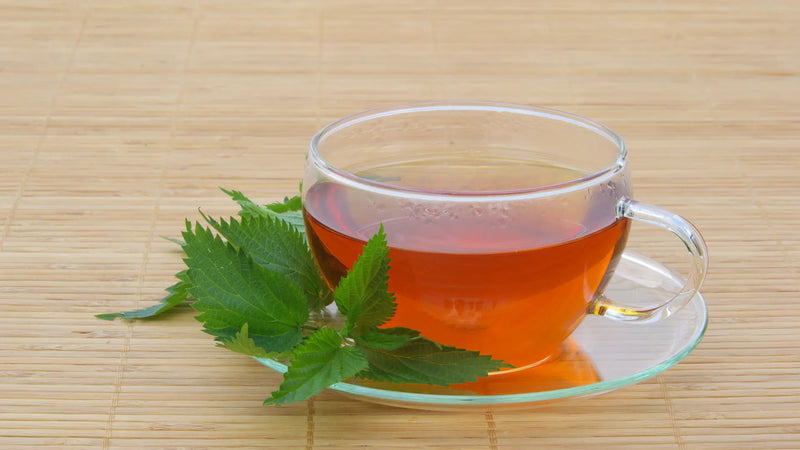 Nettle Tea Benefits for Skin: What Happens If You Drink It Daily?