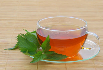 Nettle Tea Benefits for Skin: What Happens If You Drink It Daily?
