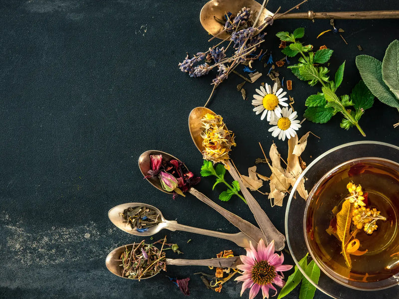 What’s Really in Your Teacup? The Healing Secrets of 10 Popular Herbal Teas