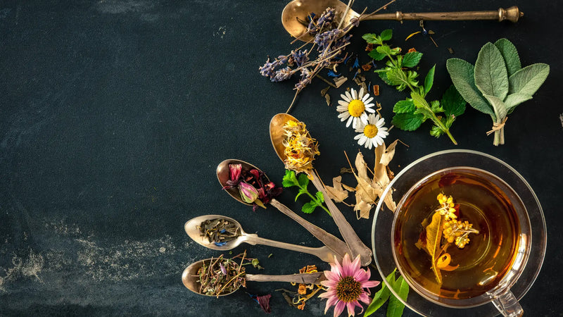 What’s Really in Your Teacup? The Healing Secrets of 10 Popular Herbal Teas