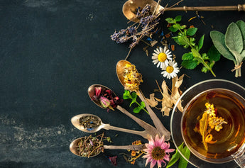 What’s Really in Your Teacup? The Healing Secrets of 10 Popular Herbal Teas