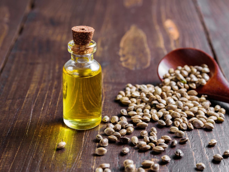 Hemp Seed Oil Benefits for Hair and Skin in 2026
