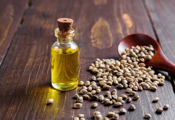 Hemp Seed Oil Benefits for Hair and Skin in 2026