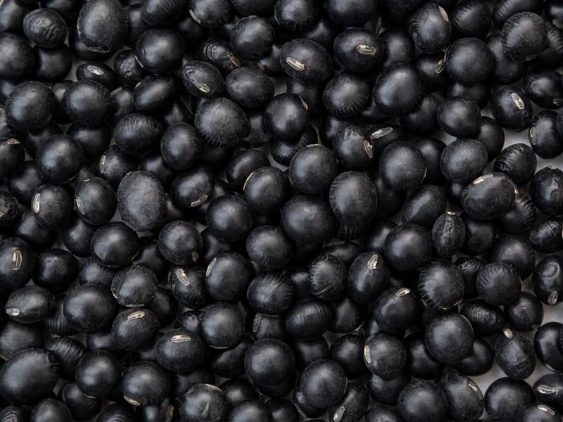 Protein-Rich Himalayan Bhatt: The Ultimate Guide to a Healthy Lifestyle Staple