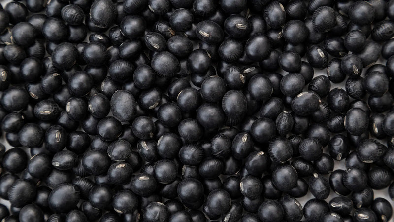 Protein-Rich Himalayan Bhatt: The Ultimate Guide to a Healthy Lifestyle Staple