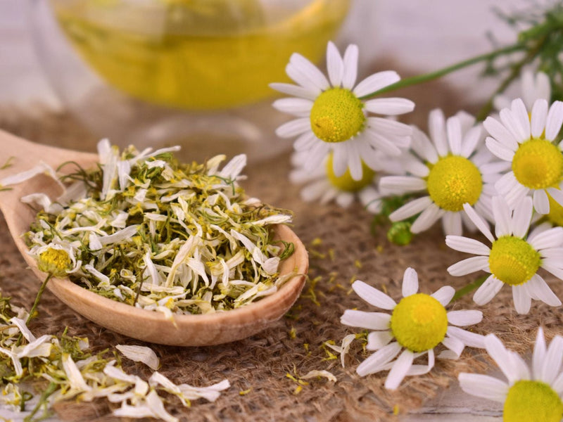 Uttarakhand Chamomile Tea
