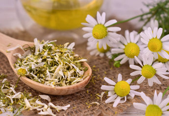Uttarakhand Chamomile Tea | Farmer-Owned Himalayan Produce