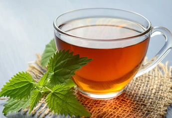 Nettle Tea Dosage: How Much Should Adults Drink?