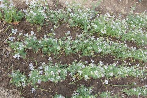 Farmers of Devbhoomi