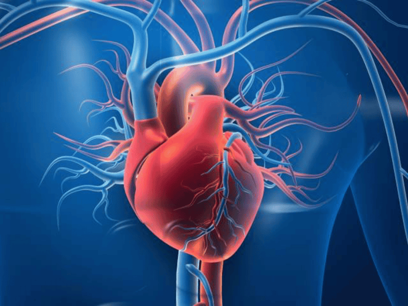 Transform Your Heart Health with Nirvana Organic's Superfoods