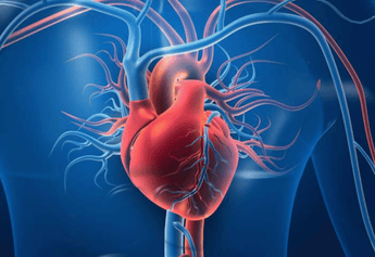 Transform Your Heart Health with Nirvana Organic's Superfoods