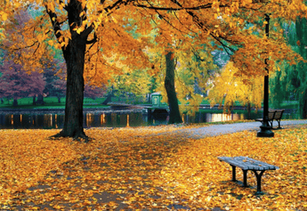 Discover the Most Satisfying Autumn Treats from Nirvana