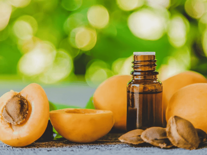 Discover the Superlative Skincare Benefits of Apricot Oil
