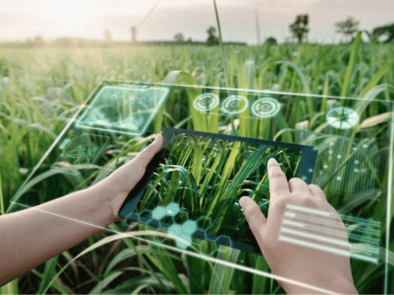 Revolutionizing Organic Agriculture: AI Farming