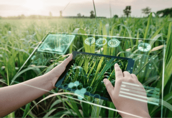 Revolutionizing Organic Agriculture: AI Farming