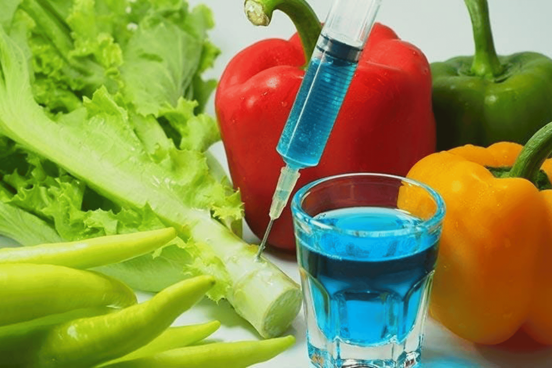 The Impact of Authorities in Combatting Food Adulteration