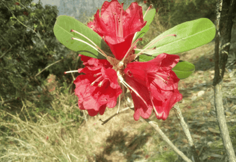 The Ultimate Guide to Achieving Radiant Skin