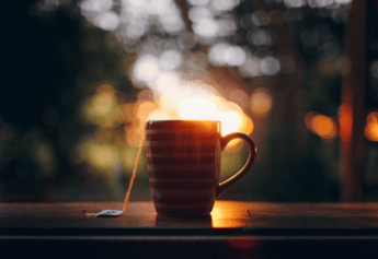Experience the Ultimate Relaxation with Nirvana Organic's Evening Blend Tea