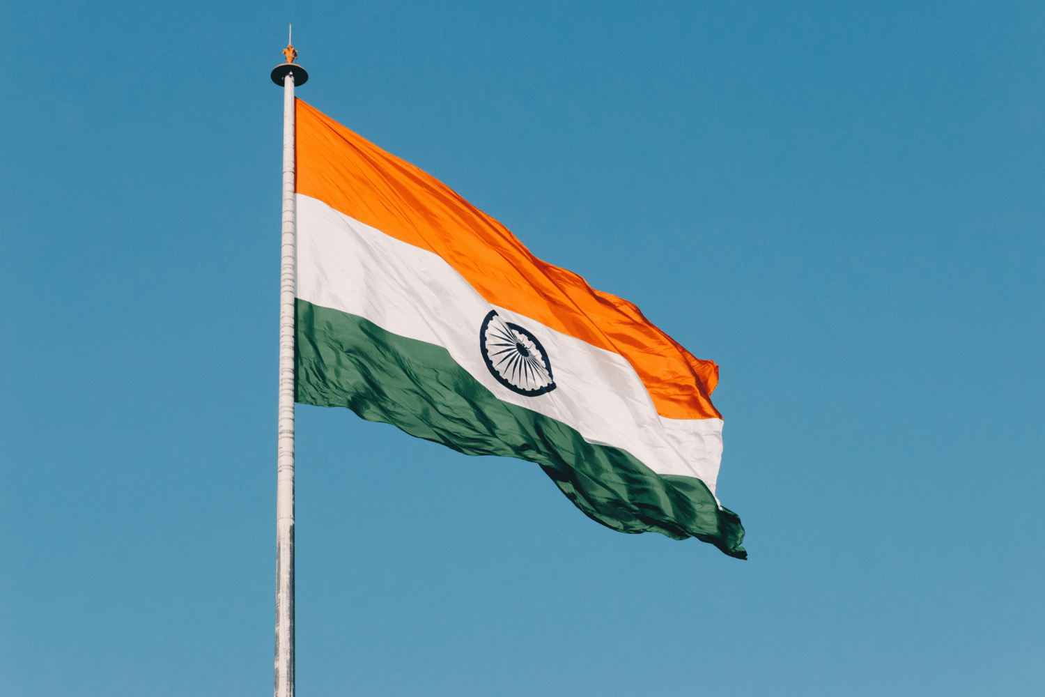 Celebrate the Day of Freedom Using Nirvana Organic Spices and Herbs
