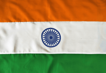 Discover the Best Tricolor Treats for a Guilt-Free Independence Day