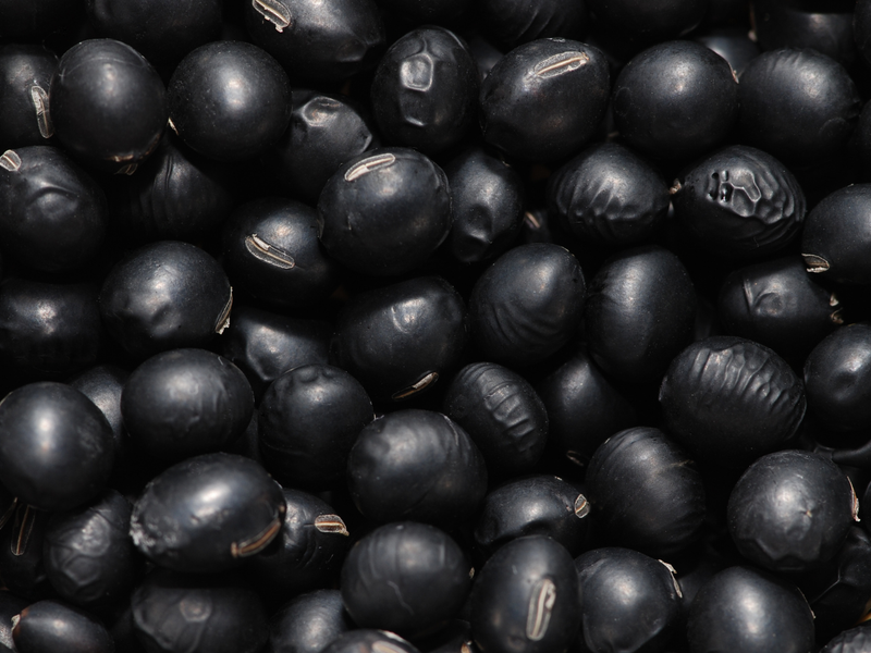 Protein-Packed and Easy: Simple Black Soybean Recipes for Everyday Meals