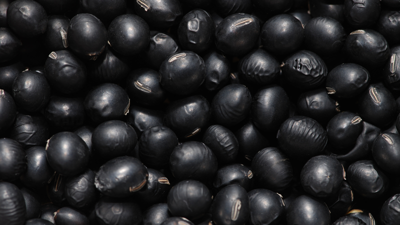 Protein-Packed and Easy: Simple Black Soybean Recipes for Everyday Meals