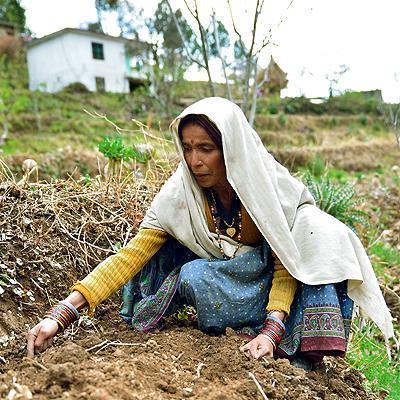 Empowering the Mountains: Women's Stewardship in Sustainable Living