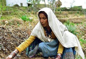 Empowering the Mountains: Women's Stewardship in Sustainable Living