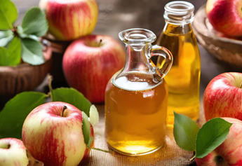 The Ultimate Guide to the Benefits of Apple Cider Vinegar on an Empty Stomach
