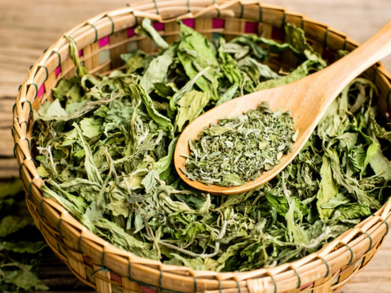 Beyond Sweetness: Exploring the Unexpected Uses of Stevia