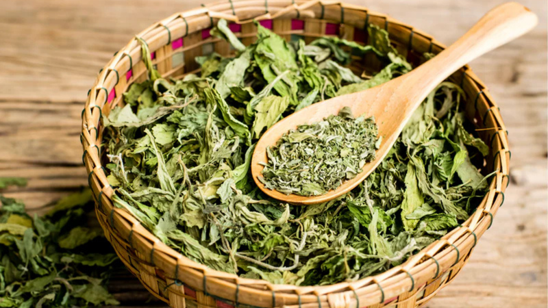 Beyond Sweetness: Exploring the Unexpected Uses of Stevia