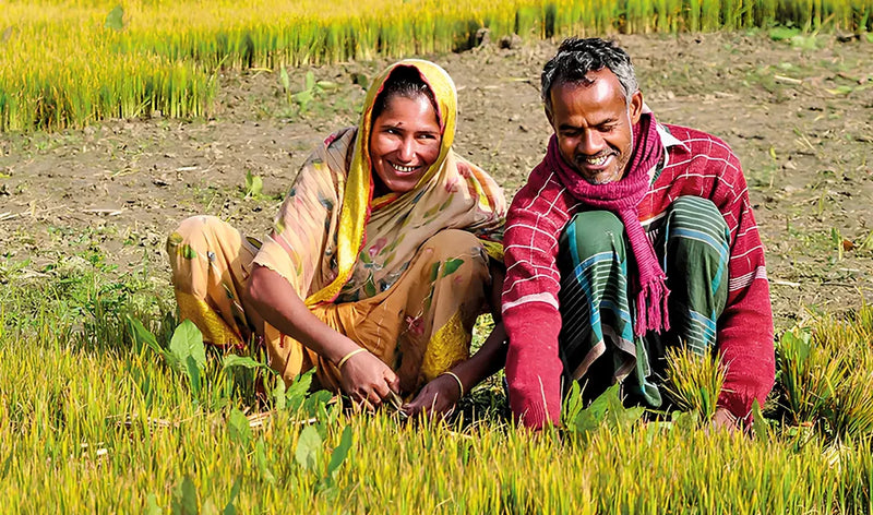 Breaking the Stereotypes: Women Debunking Myths About Farming