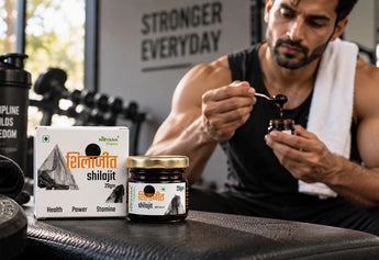 Buy Shilajit Online in India | Complete Guide to Choosing Shilajit