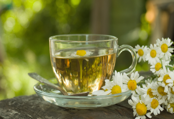 Chamomile Tea for Sleep: Does It Work?