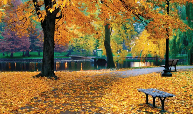 Discover the Most Satisfying Autumn Treats from Nirvana