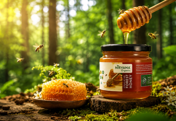 Forest Raw Honey for Immunity: How Wild Nectar Heals Your Body