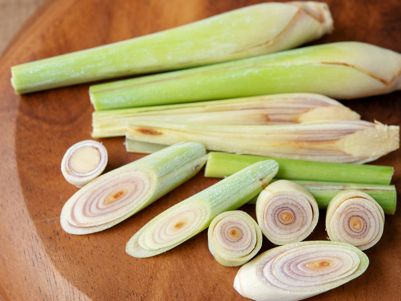 Growing Your Lemongrass: A Sustainable and Rewarding Kitchen Addition